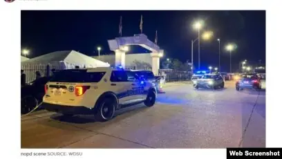 Hội Chó Cảnh Hải Phòng: Tìm Hiểu Cộng Đồng Và Cách Chăm Sóc