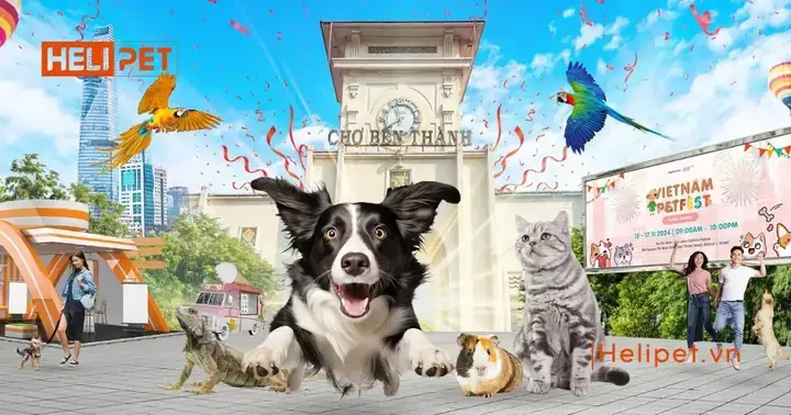 Hướng Dẫn Chi Tiết Cách Tham Gia Hội Chó Cảnh Tại Việt Nam