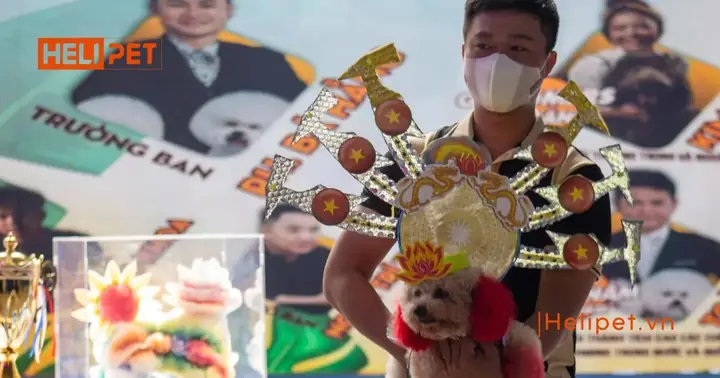 Lễ Hội Cá Cảnh Thú Cưng