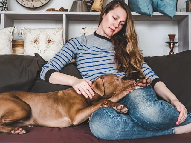 Hội Những Người Yêu Chó Poodle