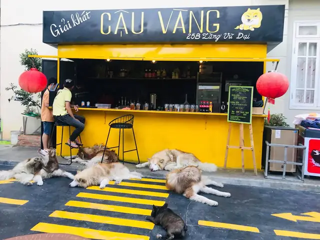 Xôn Xao Thông Tin Hội Quán Chó Mèo Nổi Tiếng Đà Lạt Bị Review Dịch Vụ Quá Tệ, Chủ Quán Lợi Dụng Và Ngược Đãi Thú Cưng - Ảnh 1.