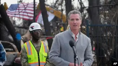 Hội Yêu Chó Hà Nội: Cộng Đồng Thú Cưng Kết Nối Yêu Thương Và Trách Nhiệm