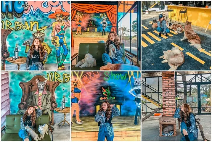 Hội Quán Chó Mèo: Thiên Đường Cho Tín Đồ Yêu Thú Cưng