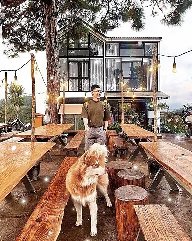 Kupid Homestay: Điểm Đến Check-in Tuyệt Đẹp Cùng Thú Cưng