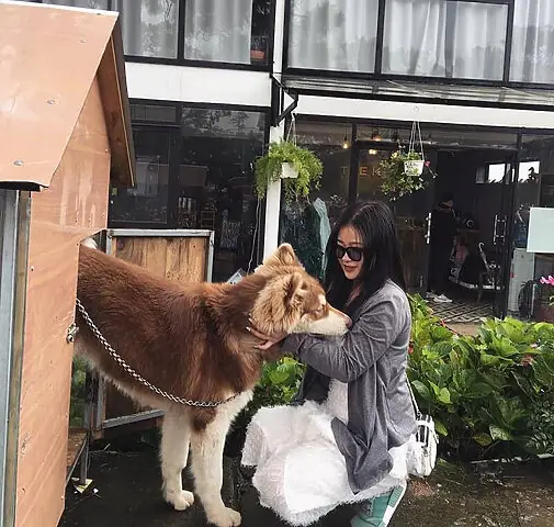 Kupid Homestay: Điểm Đến Check-in Tuyệt Đẹp Cùng Thú Cưng