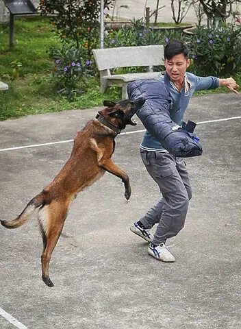 Huấn Luyện Tấn Công Tội Phạm Giả Định – Kiểm Soát Tuyệt Đối Sức Mạnh