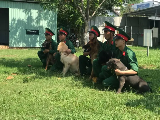 Huấn Luyện Chó Tại Nhà Hcm