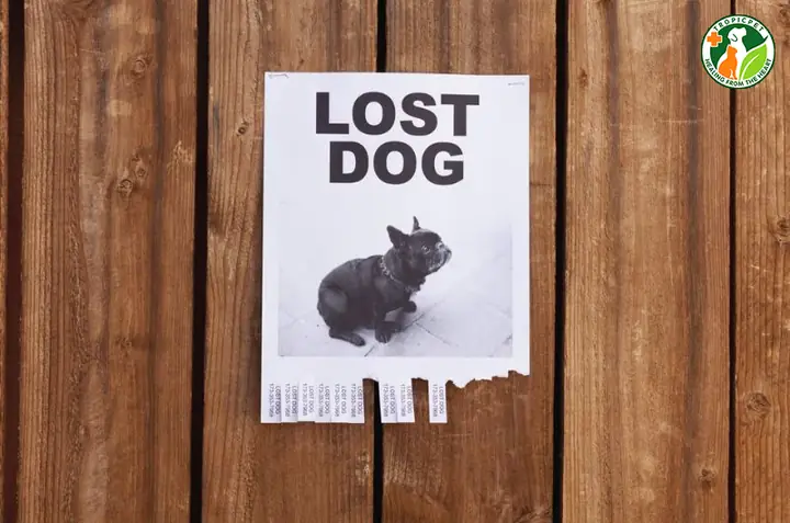 Dán Tờ Rơi Ở Khắp Các Khu Vực Lân Cận