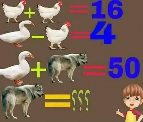 Chỉ Số Iq Của Chó Là Bao Nhiêu?