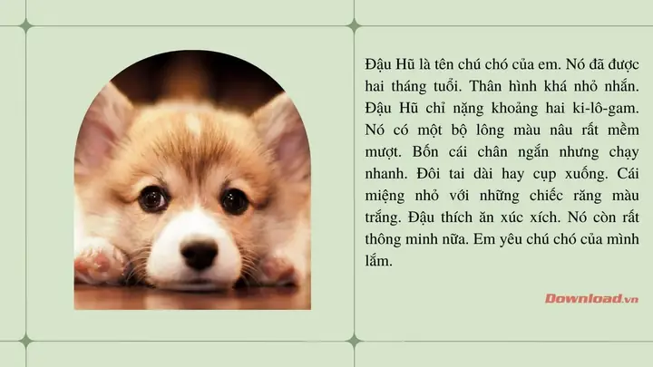 Đoạn Văn Mẫu Số 1 Đoạn Văn Mẫu Số 1