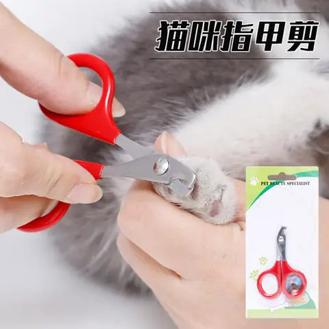 Cách Dùng Kéo Cắt Móng Cho Chó An Toàn Tại Nhà?