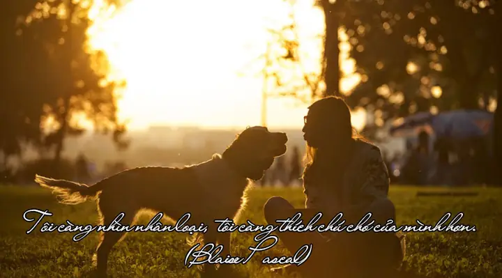 Doan Ket Bai Ta Con Cho Lop 4 Doan Ket Bai Ta Con Cho Lop 4