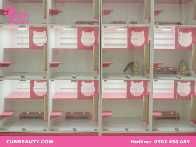 Cún Beauty – Khách Sạn Cho Chó Mèo Tphcm Uy Tín Cún Beauty – Khách Sạn Cho Chó Mèo Tphcm Uy Tín