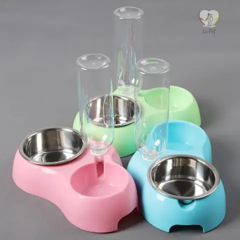 Khay Đựng Đồ Ăn Cho Chó: Hướng Dẫn Chọn Mua Và Sử Dụng An Toàn, Hiệu Quả