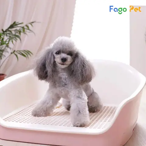 Khay Vệ Sinh Thành Cao