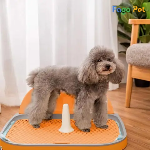 Địa Chỉ Bán Khay Vệ Sinh Cho Chó Poodle Giá Rẻ, Chất Lượng