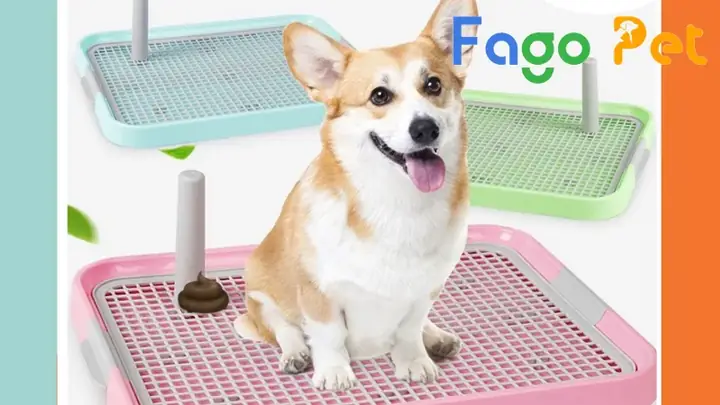 Khay Vệ Sinh Thành Thấp