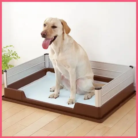 Chọn Theo Kích Thước Chó