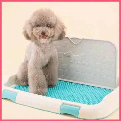 Khay Vệ Sinh Lưới