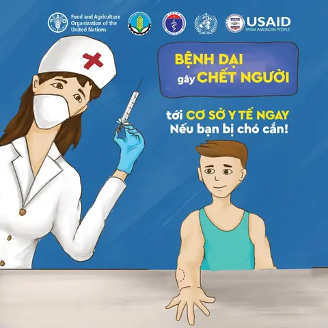 Khi Bị Chó Cắn Cần Tiêm Bao Nhiêu Mũi