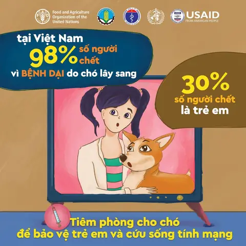 Khi Bị Chó Cắn Cần Tiêm Bao Nhiêu Mũi