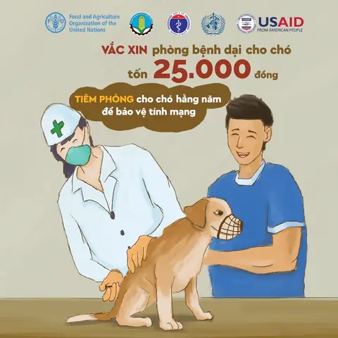 Khi Bị Chó Cắn Cần Tiêm Bao Nhiêu Mũi