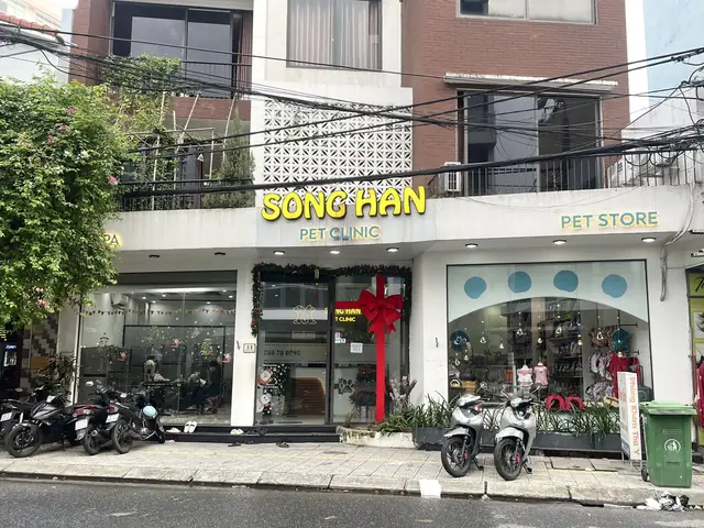 Sông Hàn Pet - Địa Chỉ Điều Trị Bong Gân Ở Chó Uy Tín Hàng Đầu