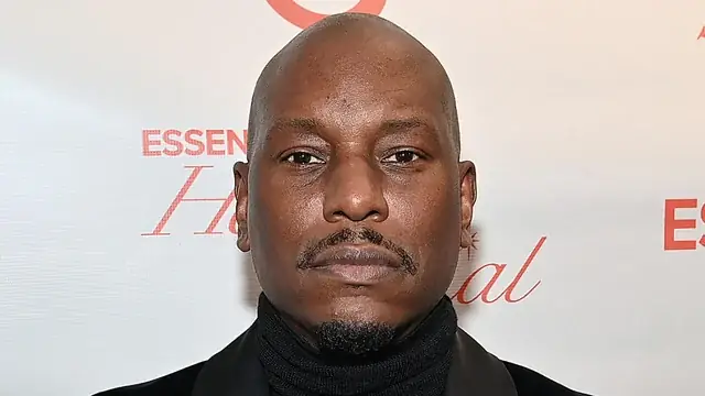 Khi Nào Chó Mẹ Hết Sữa: Dấu Hiệu, Thời Gian Và Cách Chăm Sóc Đúng Cách