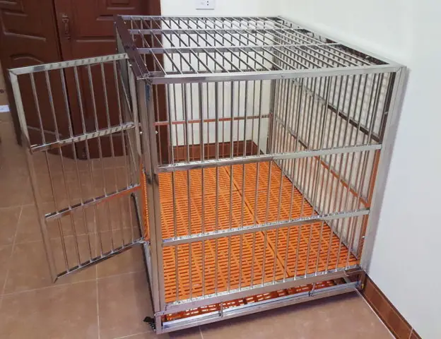 Nên Lưu Tâm Gì Khi Thiết Kế Chuồng Chó?