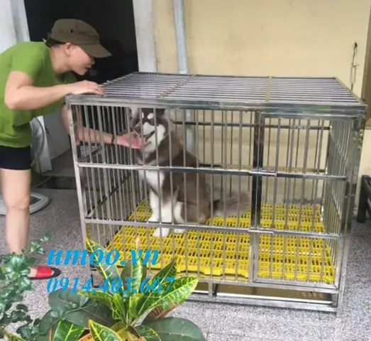 Các Kích Thước Chuồng Chó Inox