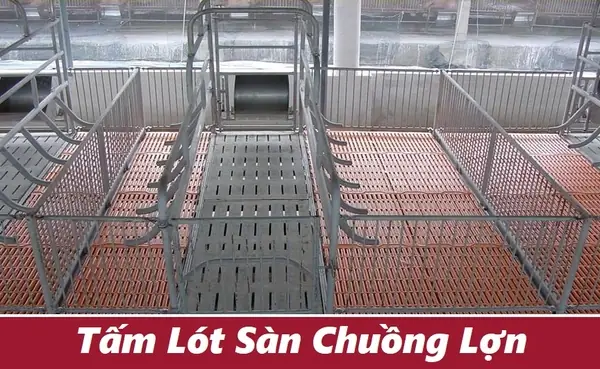 Kích Thước Sàn Nhựa Chuồng Chó