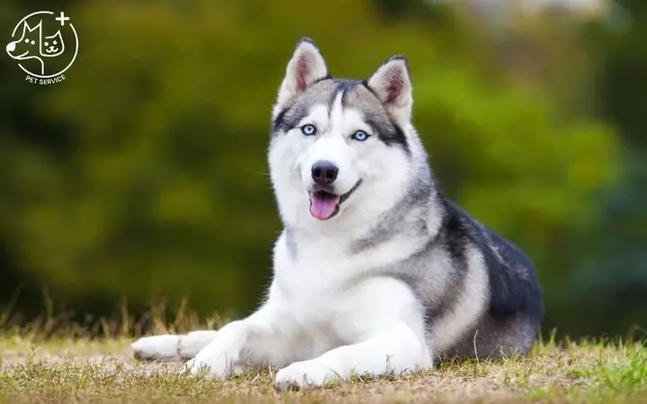 Tính Cách Nổi Bật