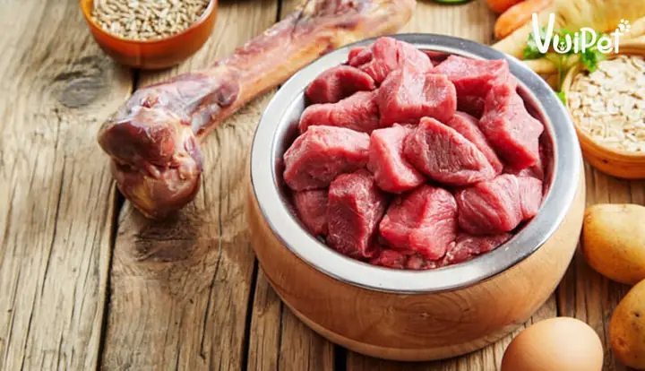 Chó Rottweiler Ăn Gì? Thức Ăn Cho Chó Rottweiler