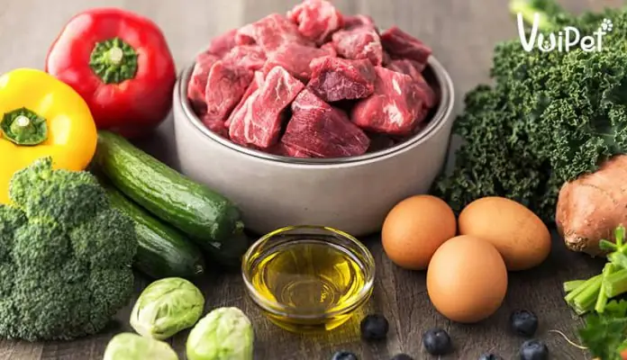 Chó Ăn Bao Nhiêu Là Đủ? Cách Tính Thức Ăn Cho Chó Trong 1 Ngày