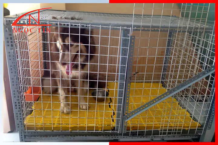 Chuẩn Bị Các Tư Trang Vật Liệu Làm Chuồng Chó Bằng Sắt