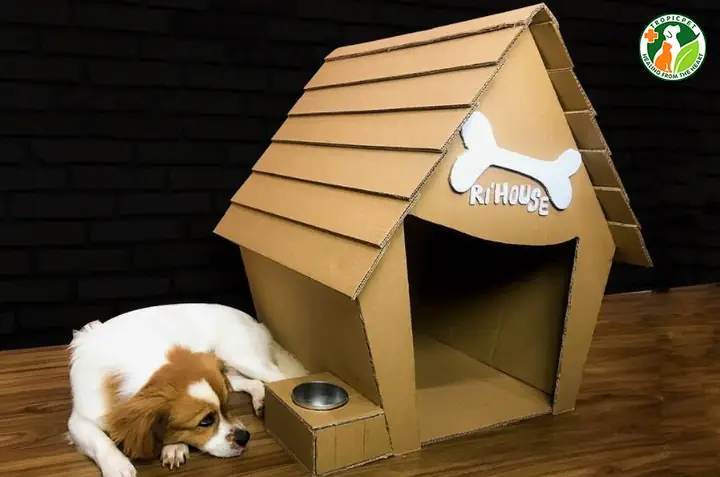Các Bước Làm Nhà Cho Chó Bằng Thùng Giấy Carton
