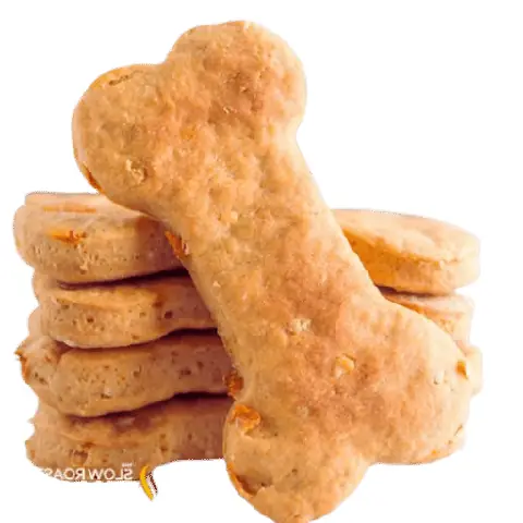 Làm Sao Để Chó Quý Chủ: Hướng Dẫn Chi Tiết Cho Người Nuôi