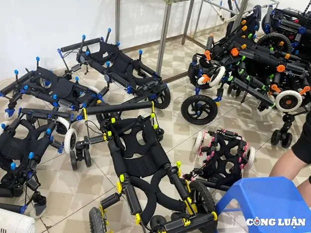 Hướng Dẫn Cách Làm Xe Lăn Cho Chó Tại Nhà