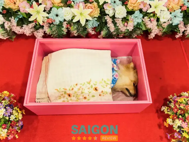 Phòng Khám Thú Y Thi Thi Phòng Khám Thú Y Thi Thi