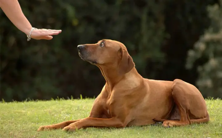 7bảo Vệ Sự An Toàn Của Bạn