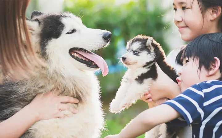 3mở Rộng Mối Quan Hệ Xã Hội