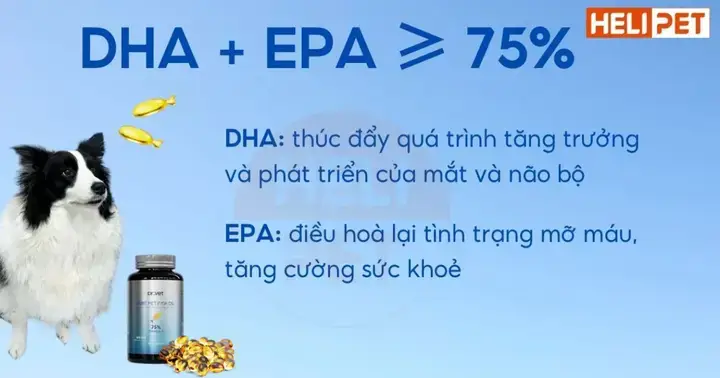 Nguồn Nguyên Liệu Thủ Công Và Vải Sợi Bền Đẹp Nguồn Nguyên Liệu Thủ Công Và Vải Sợi Bền Đẹp