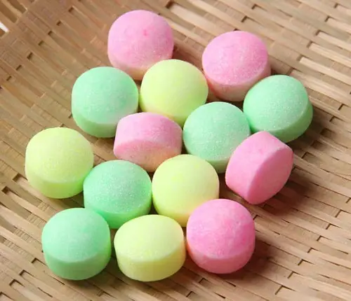 Long Não Có Tác Dụng Trị Ve Chó, Bọ Chét, Ký Sinh Trùng Liên Quan Khác