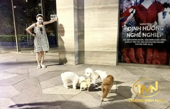 Thả Rông Chó Mèo Trong Chung Cư Bị Xử Phạt Như Thế Nào?