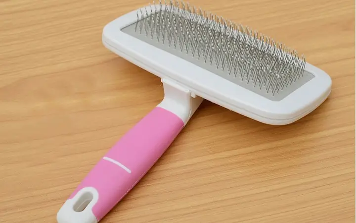 Lược Chải Lông Chó Phốc Sóc: Hướng Dẫn Chăm Sóc Bộ Lông Bồng Bềnh Từ A-z