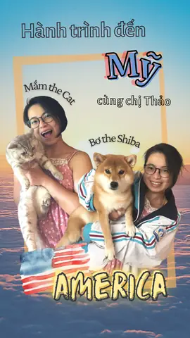 Mang Chó Từ Nhật Về Việt Nam