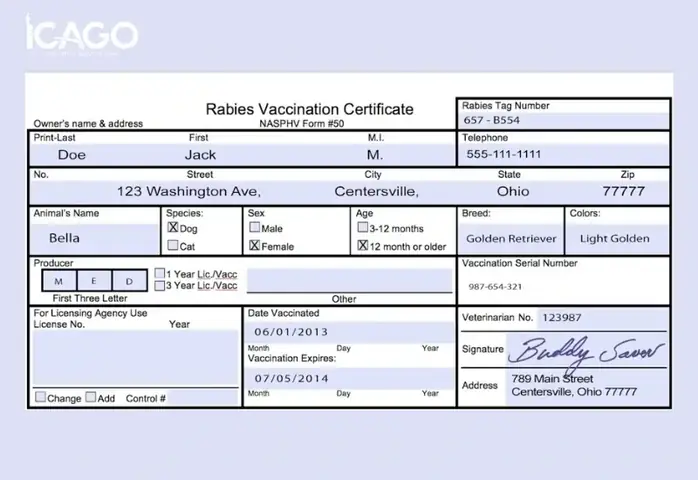Thủ Tục Nhập Cảnh Dành Cho Thú Cưng Tại Việt Nam