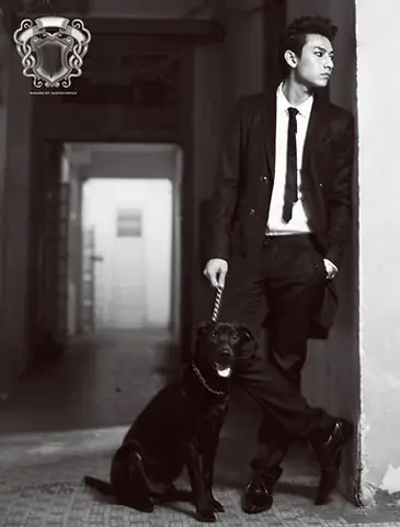 Mất Chó Có Đen Không? Phân Tích Văn Hóa, Tâm Lý & Cách Chữa Lành Sau Mất Mát