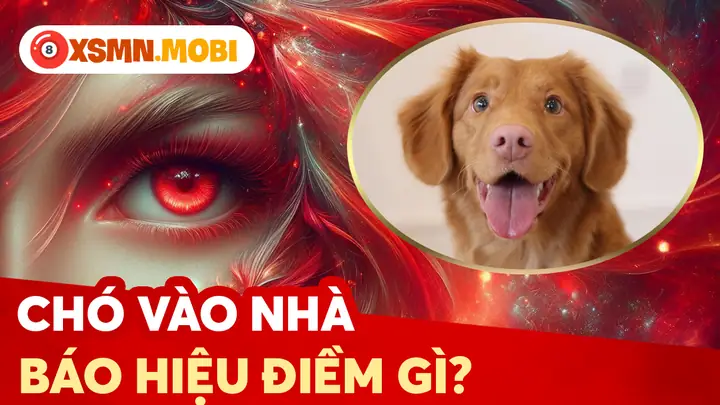 Tiếng Chó Tru, Hú: Điềm Báo Về Hiểm Họa Báo Trước