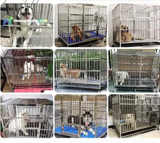 Kích Thước Phổ Biến Của Chuồng Lắp Ghép.